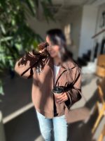 بامبر فوتر با ستاره های پلنگی - Image 4
